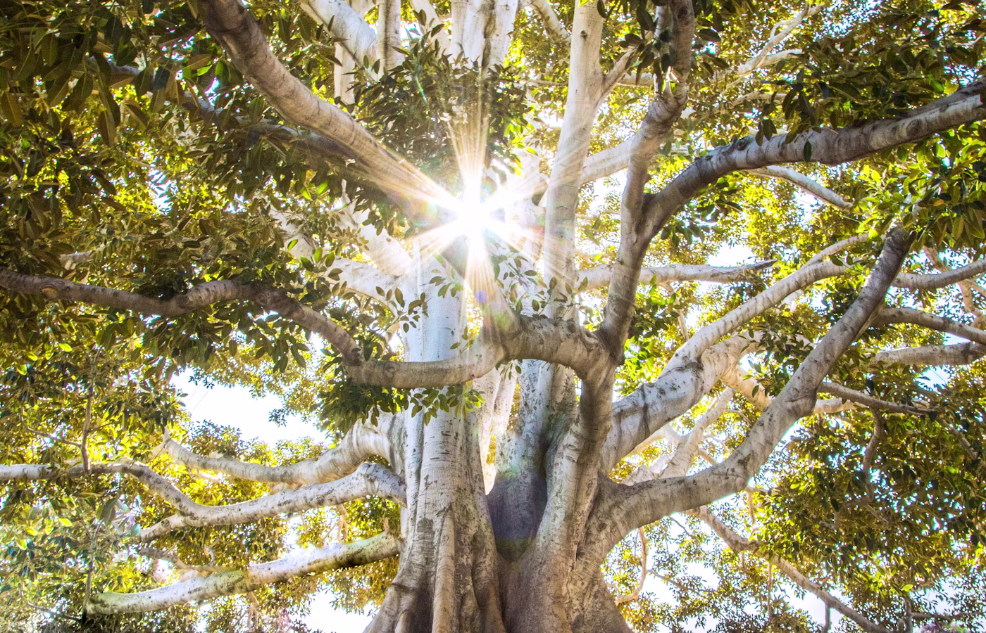 Ментальное здоровье для предпринимателя